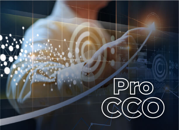 Global CCO program – Professional Director Training | Pro CCO