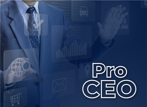global-ceo-program-professional-director-training-pro-ceo