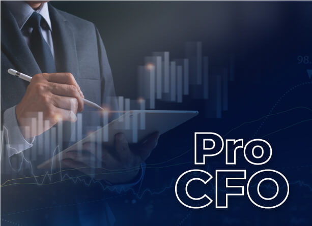 global-cfo-program-professional-director-training-pro-cfo